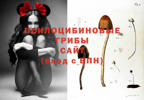 гидропоника Касимов